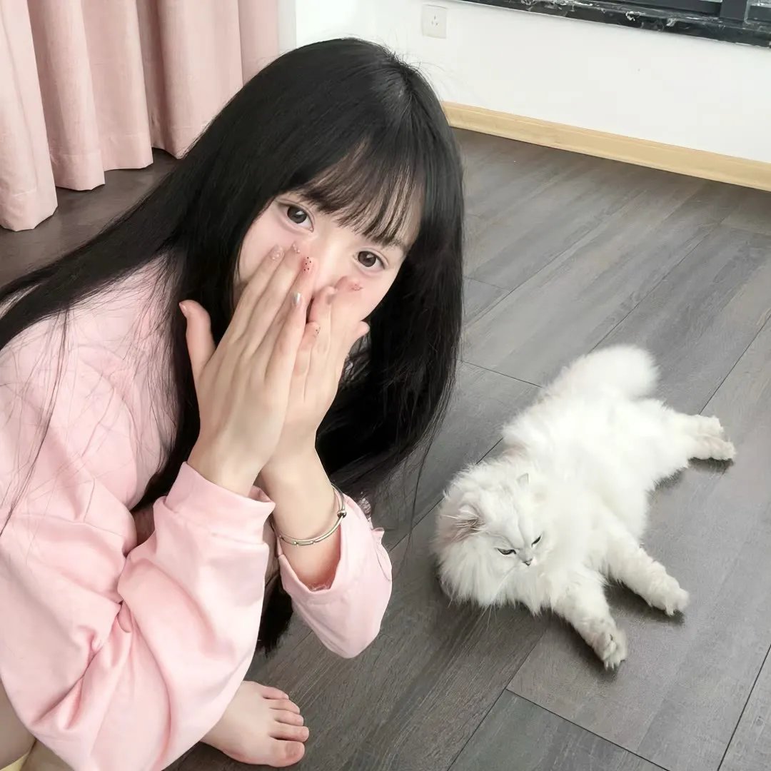 消失的皮箱 在线观看